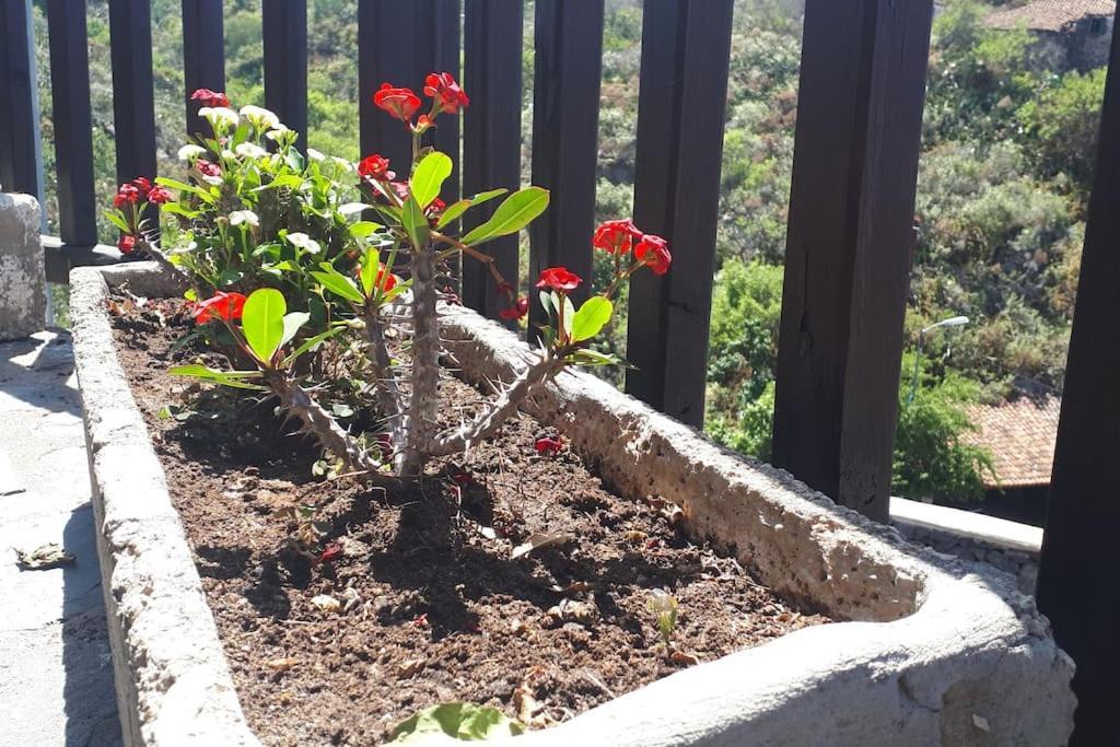 아데제 Casa Tia Rosa. 빌라 외부 사진